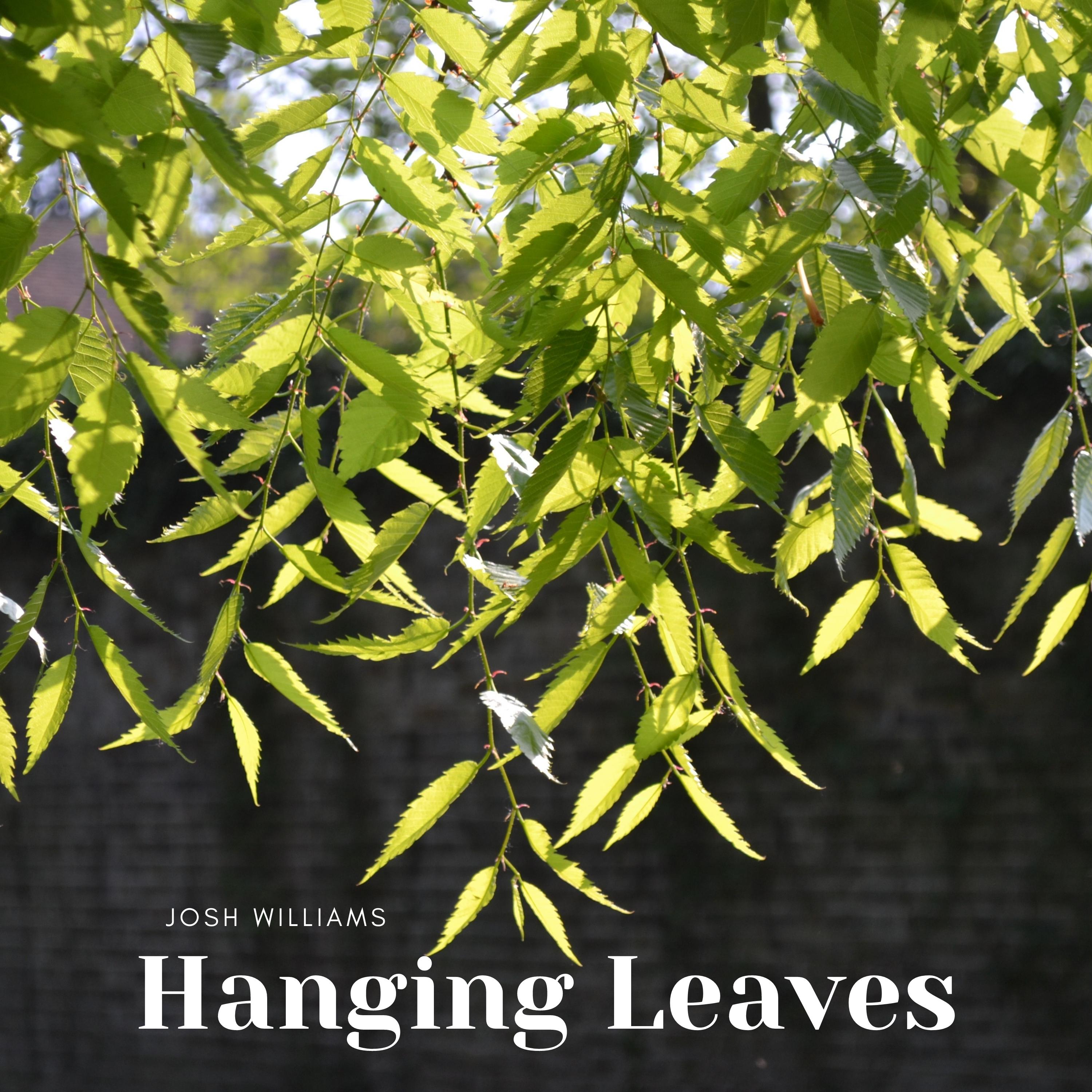 Hanging Leaves
