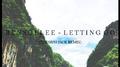 Letting Go (Thomas Jack Remix)专辑