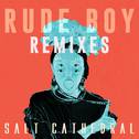 Rude Boy (Remixes)专辑