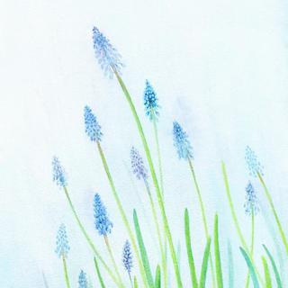 莲叶清心 —— 七月翻唱金曲备选