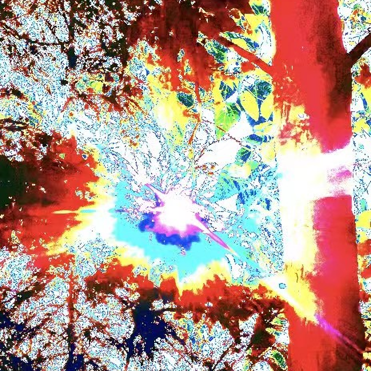 電 子 失 戀