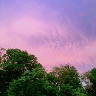 我嘴巴超甜的(='_'=)