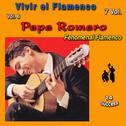 Vivir el Flamenco, Vol. 6 (Fenomenal Flamenco) (14 Sucess)专辑