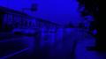 Navy Blue专辑