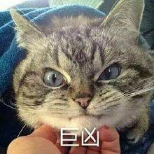 风吹草低｜心灵在草原上流浪