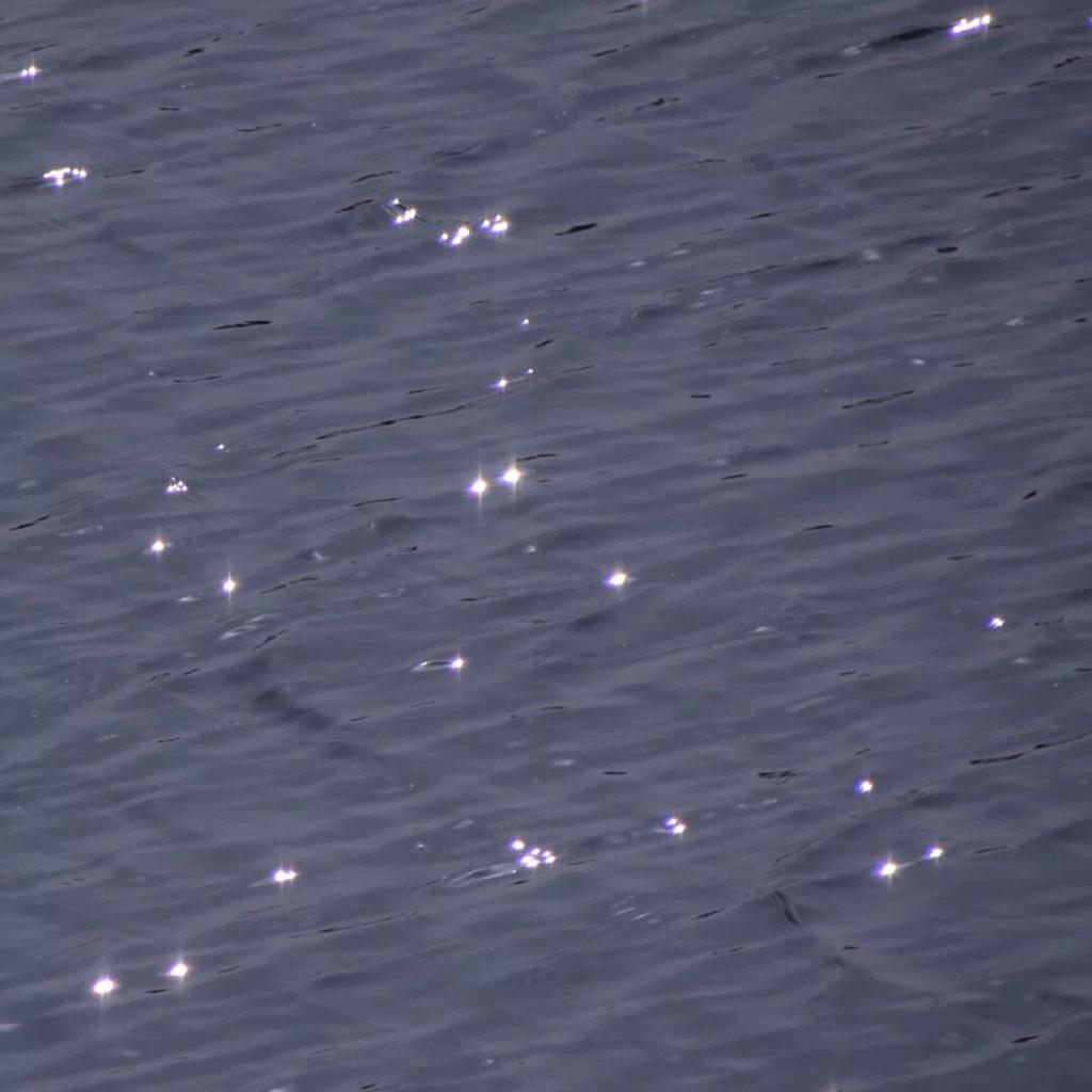 所爱之人在路上 | 在线播放 | 网易云音乐