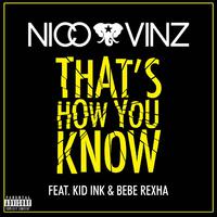 原版伴奏 Nico & Vinz & Kid Ink & Bebe Rex - That's How You Know (karaoke)