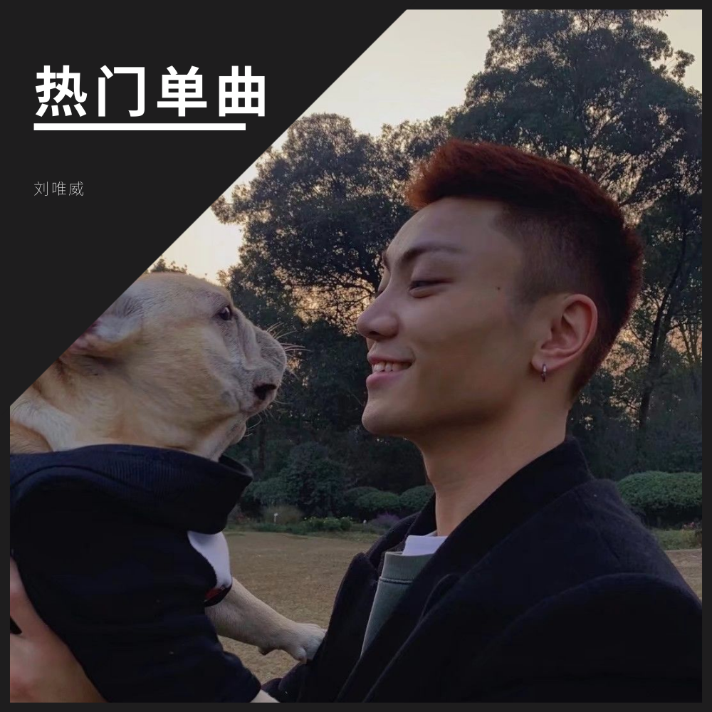 Moici-Closer （Remix）（刘唯威 remix）