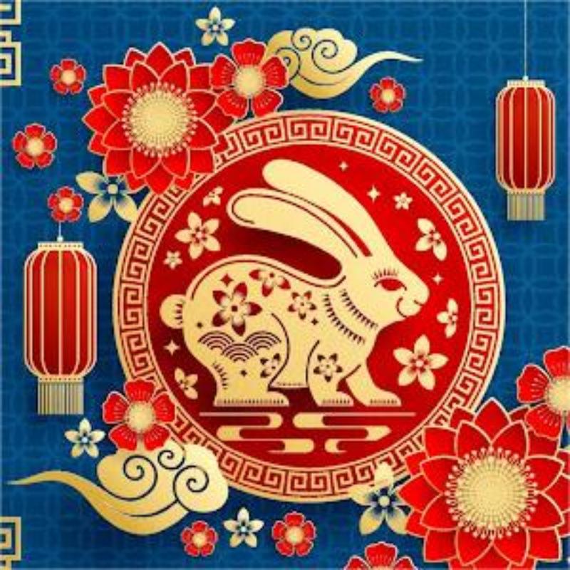 新年快乐 | 祝你的兔年闪闪发光