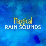 Magical Rain Sounds专辑