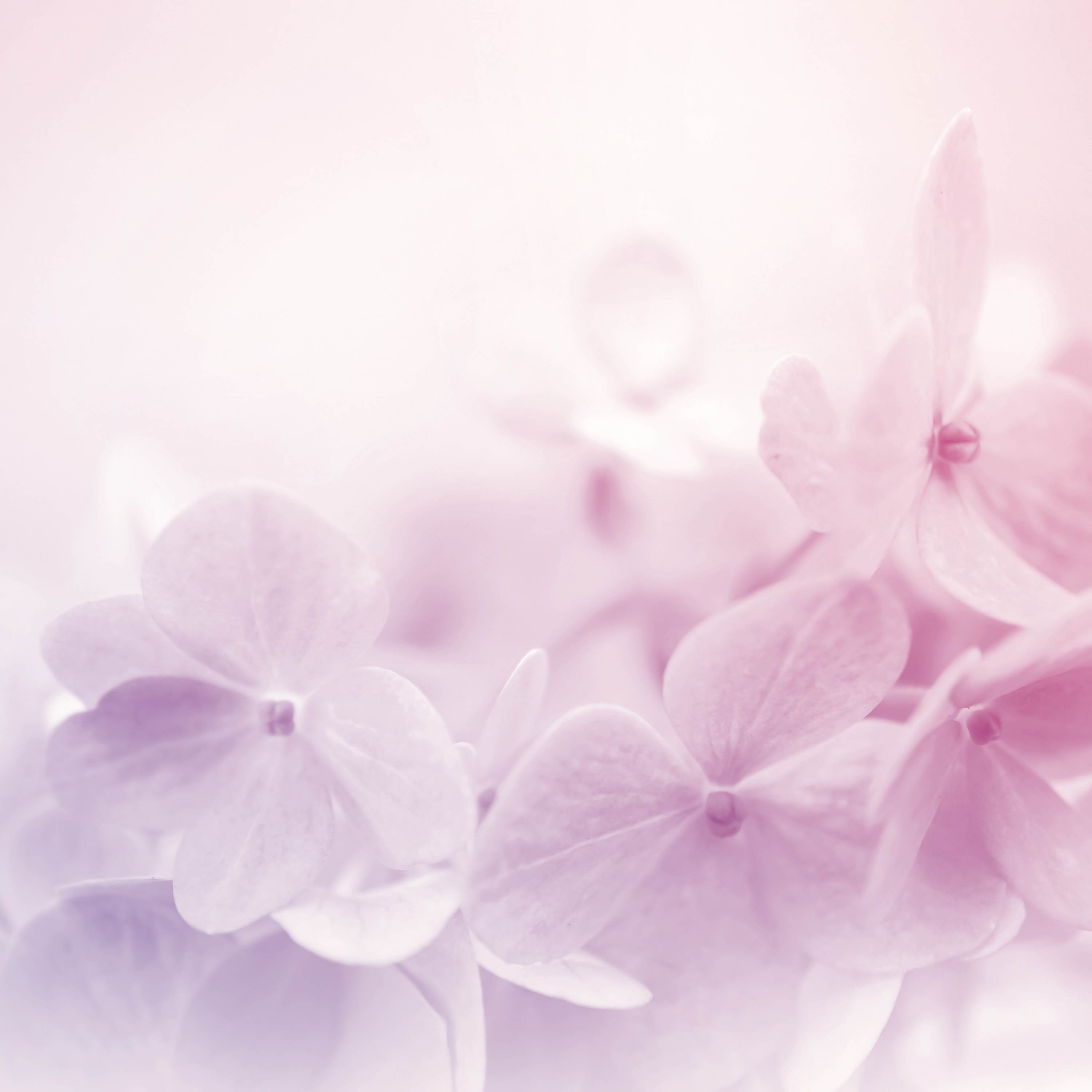 LILAC Piano