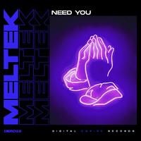Meltek - Need You (CloudNine Short Edit)