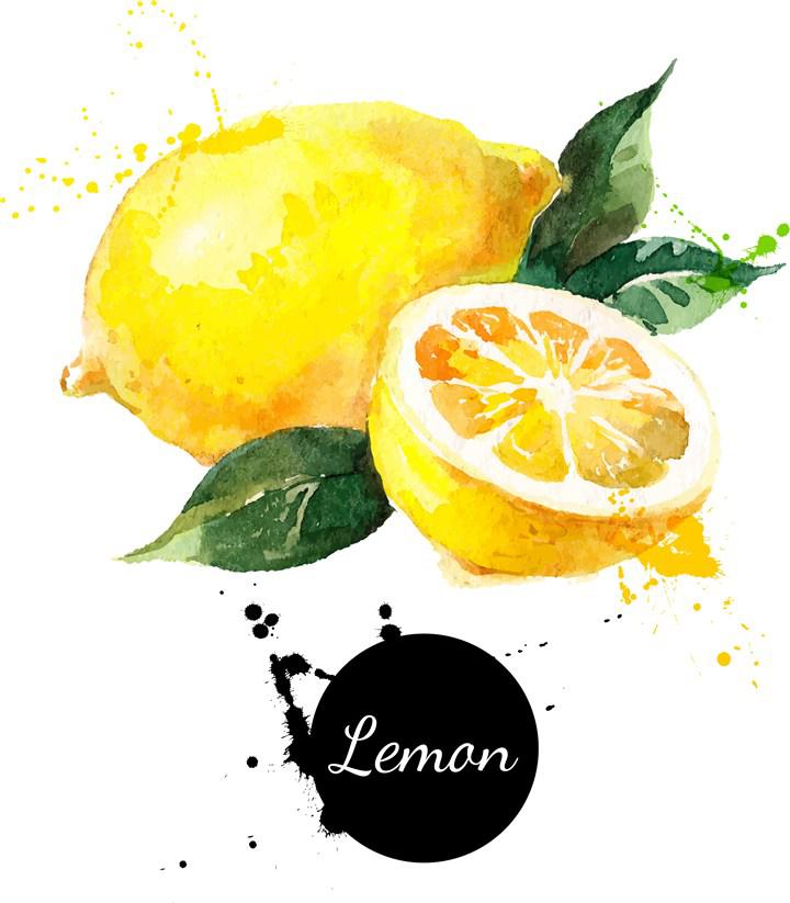 Lemon专辑