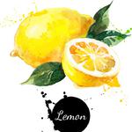 Lemon专辑