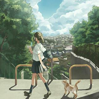 清新 丨 2013年的夏天依旧晴朗♪