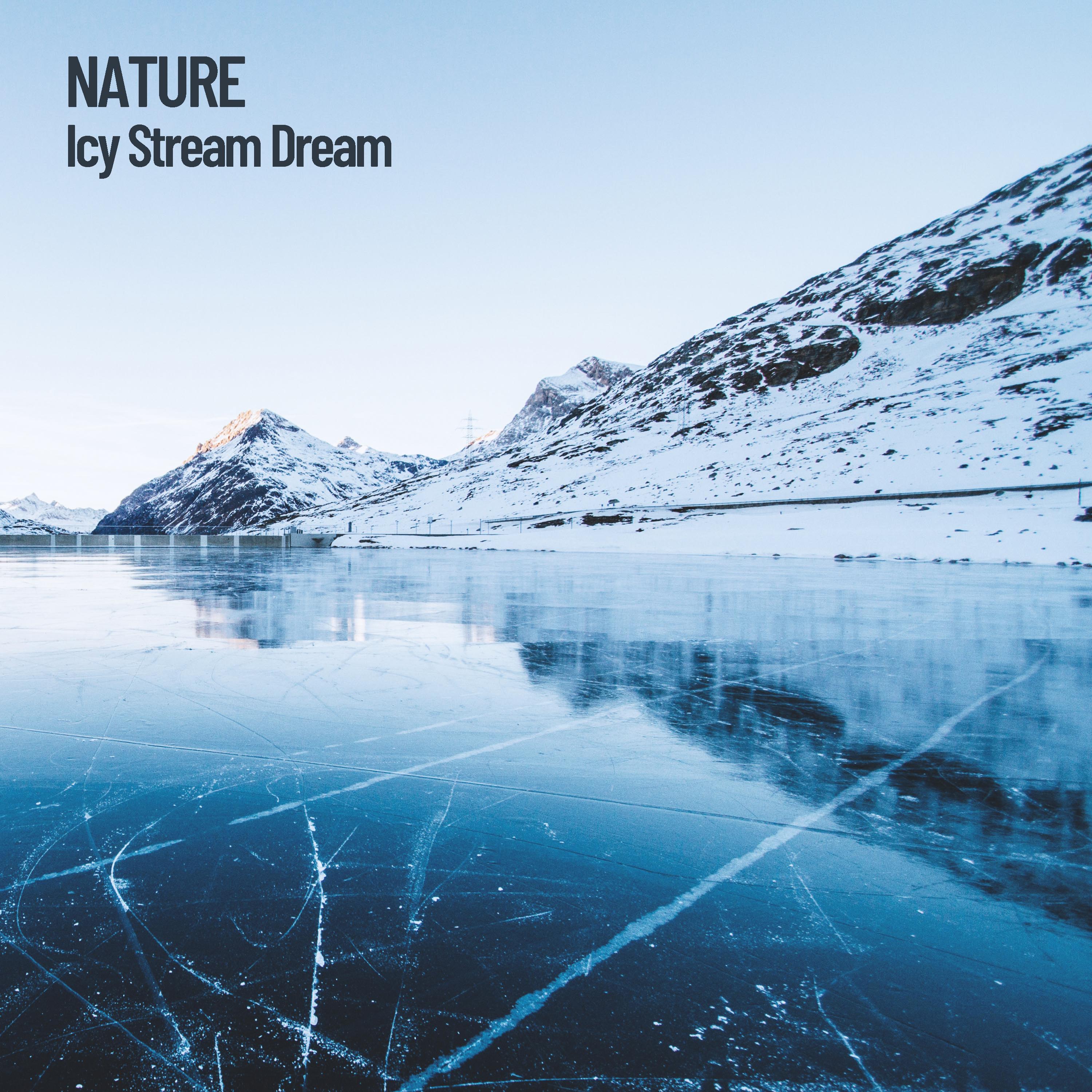 Nature: Icy Stream Dream