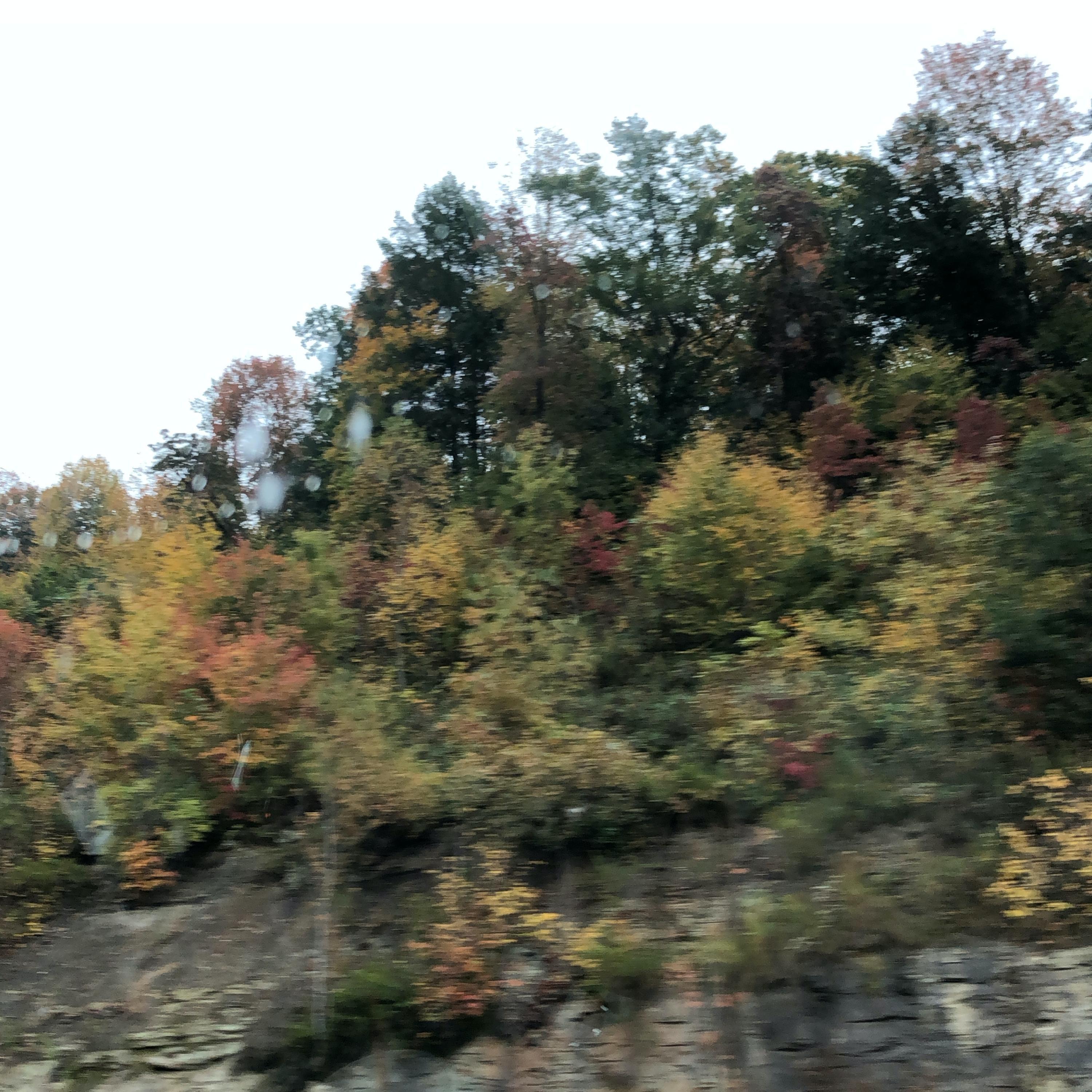 greenery