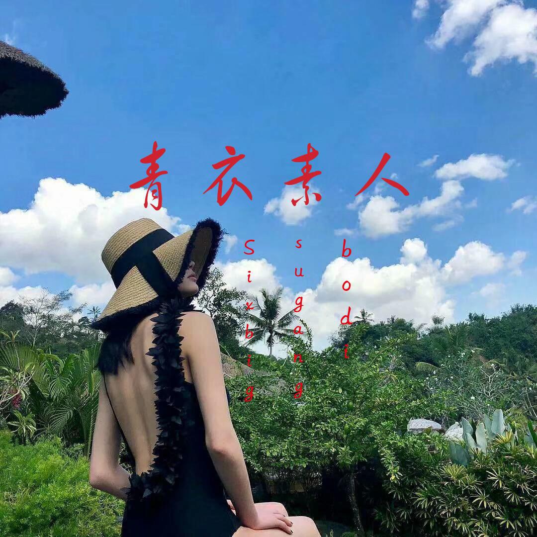 精彩苏刚歌曲封面