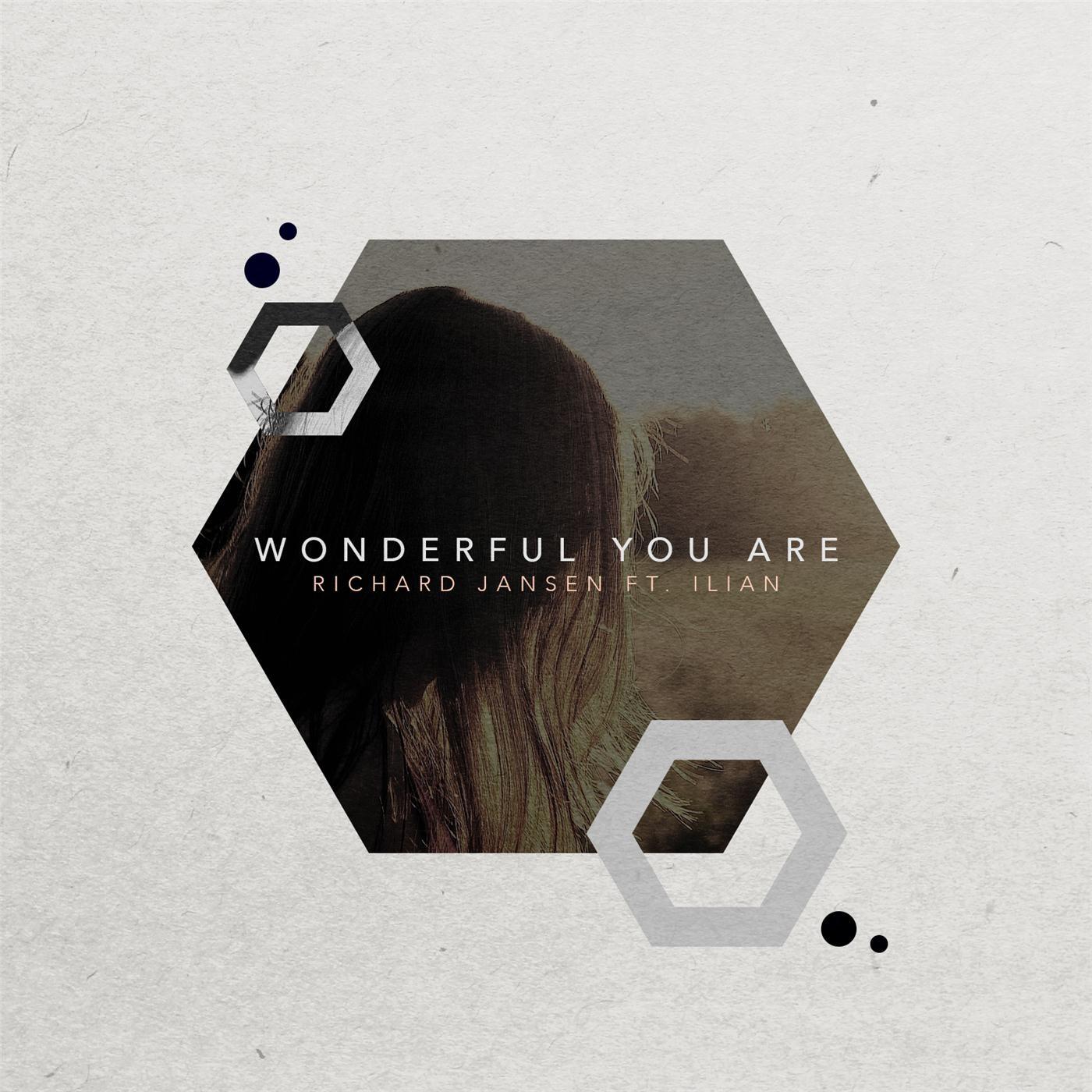 Wonderful You Are (feat. Ilian)