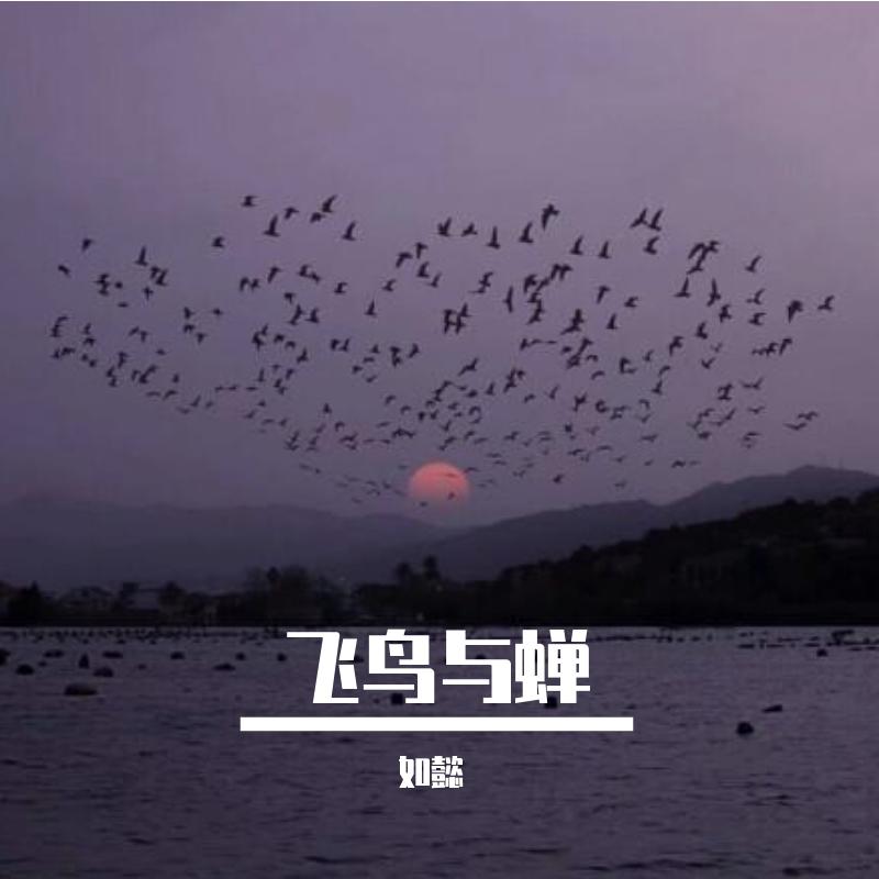 飞鸟与蝉