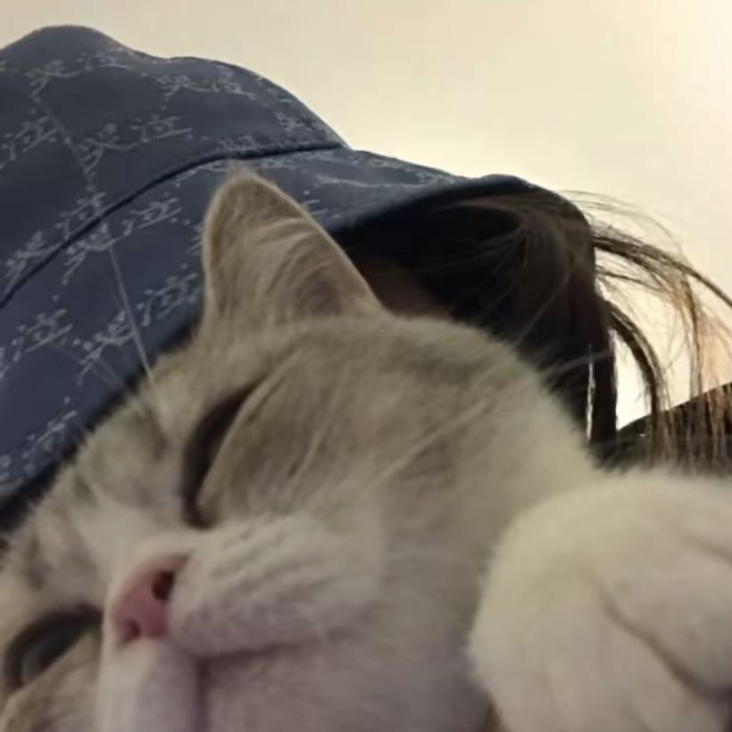 入怀