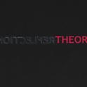 reflection theory