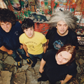 Melvins