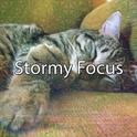 Stormy Focus专辑