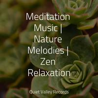 Meditation Music | Nature Melodies | Zen Relaxation