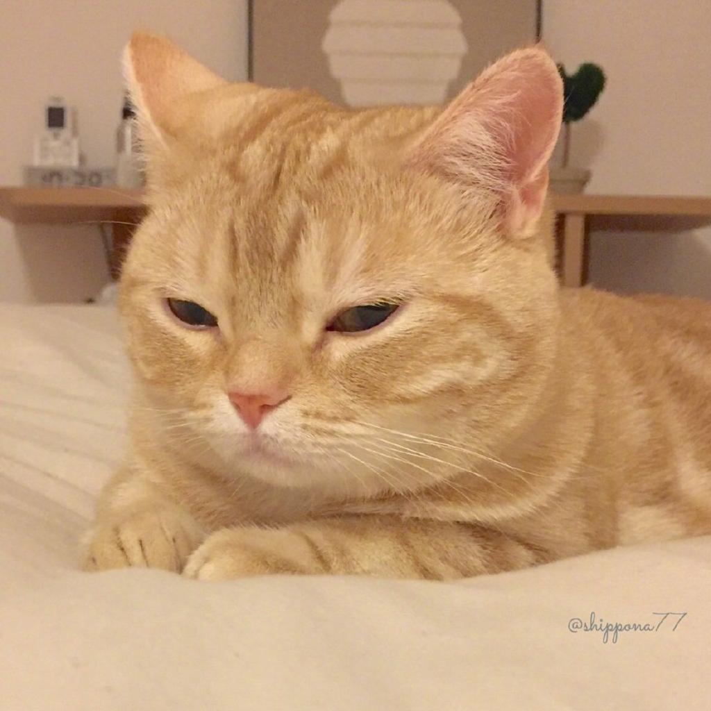 助眠| 午睡歌单