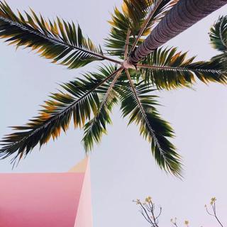 Some summer vibes