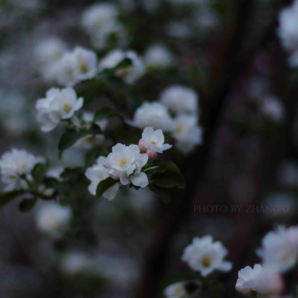 【白噪音】纯自然界「白噪音」，专注与放松 | 在线播放 | 网易云音乐