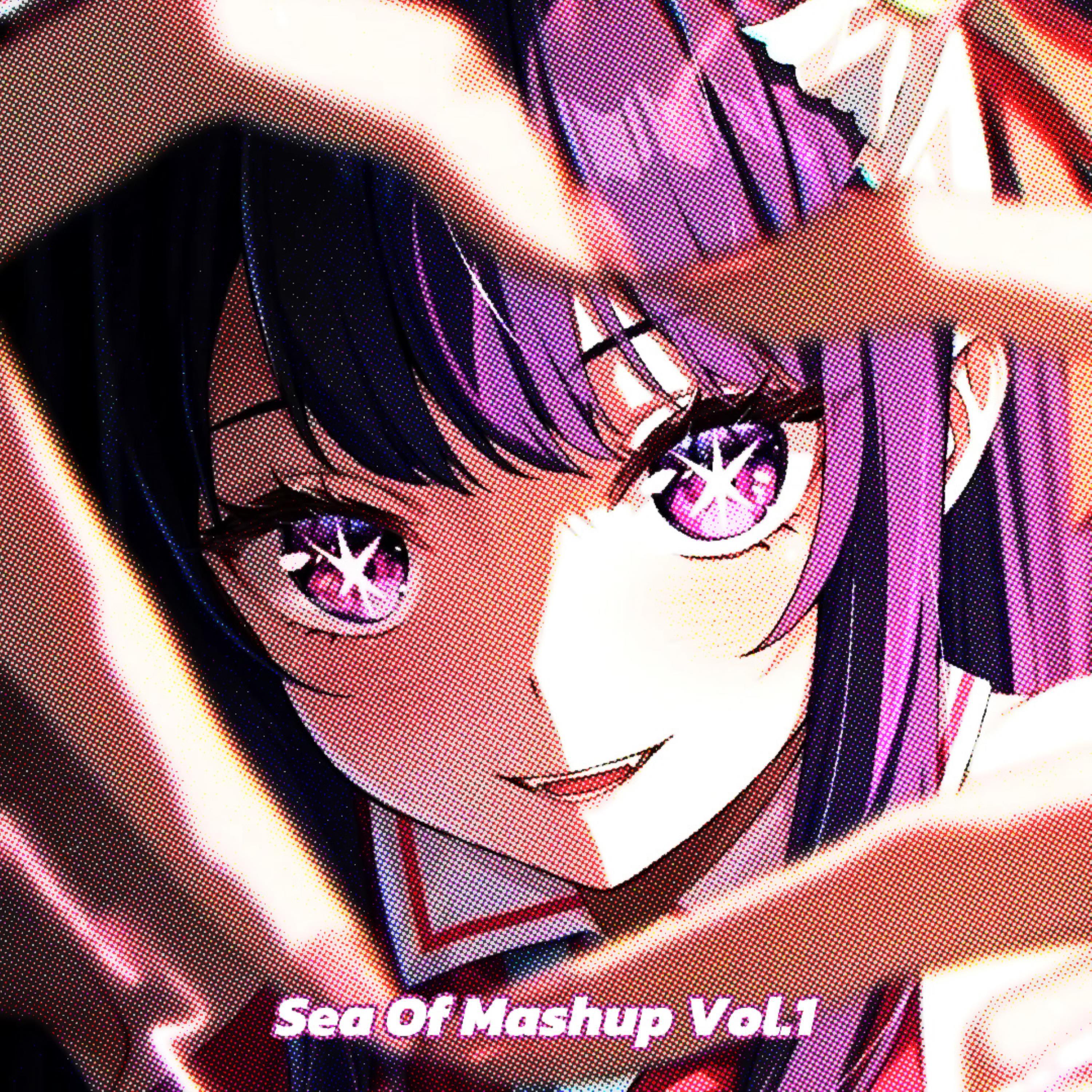 Sea Of Mashup, Vol. 1专辑