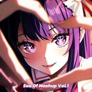 Sea Of Mashup, Vol. 1