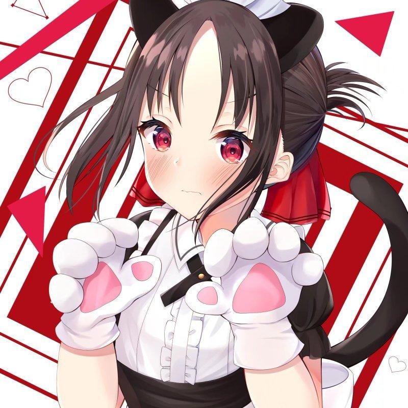 无前奏日系电子•魔性节奏 一秒入魂