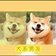 犬系男友