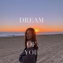 Dream of You (feat. Tsunami San)