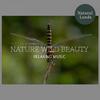 Cozy Nature Soothing Music Library - Chatterer Blue Jay