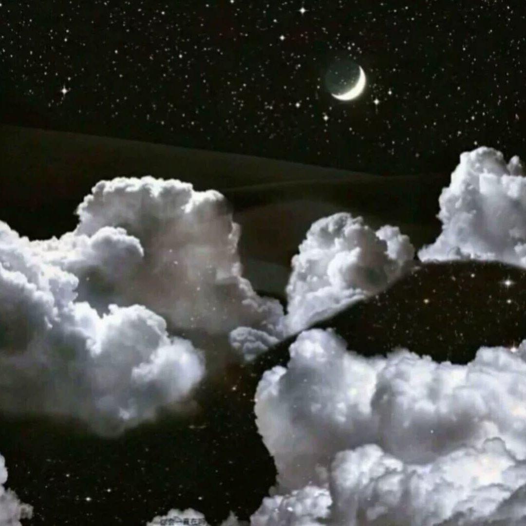 我揽秋水渡星河