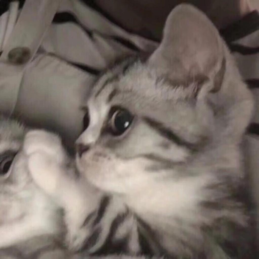 莫名好听的儿歌