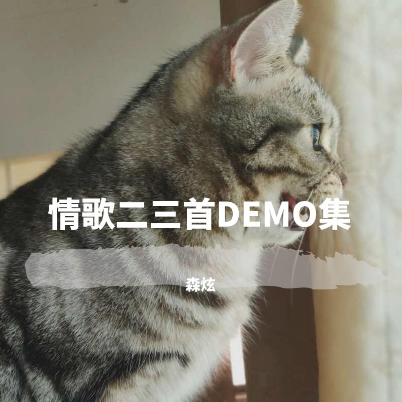 情歌DEMO二三首