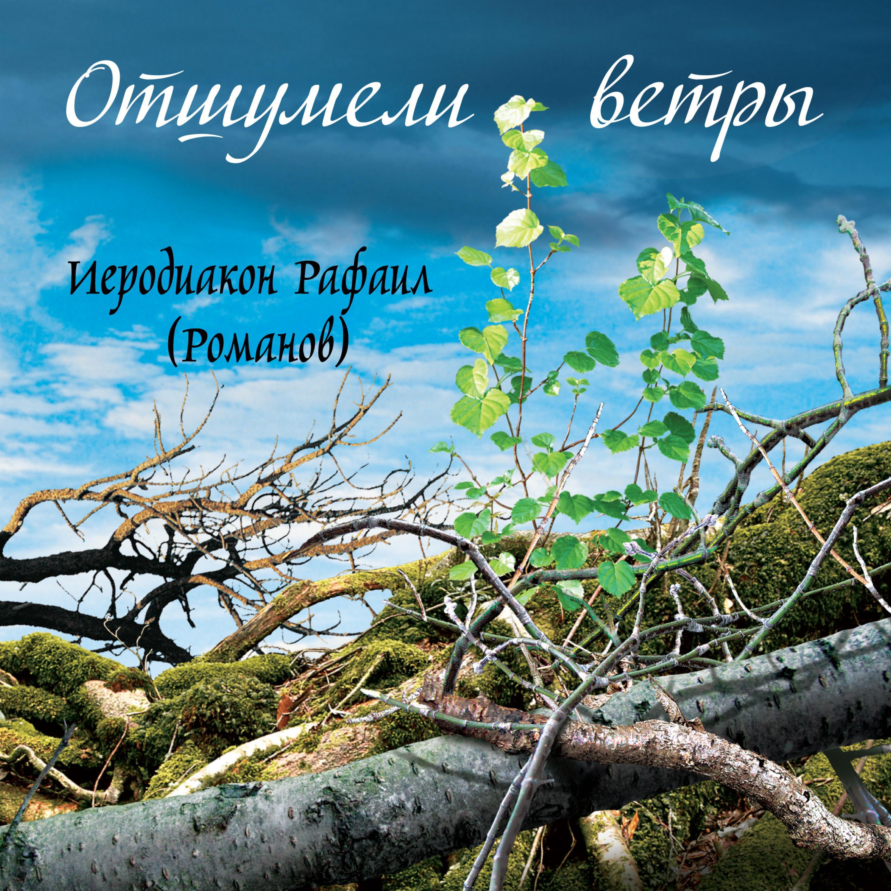 Реплик известных брендов-monclerМонклерРепликашарф(шелк)