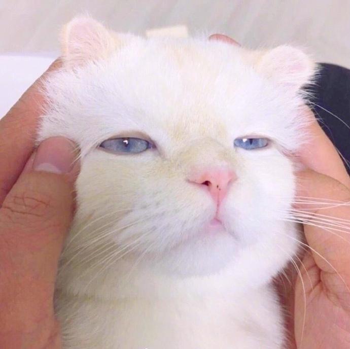 《可爱》