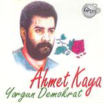 Yorgun Demokrat专辑