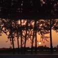 Daylight