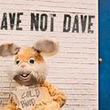 Dave Not Dave