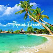 Tropical Dream