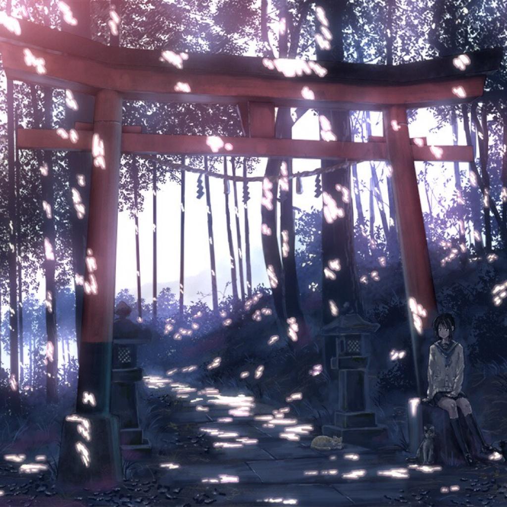 和风女毒 | 浓浓和风韵 绕耳东瀛音