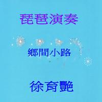 琵琶 - 紫竹调(范奏)