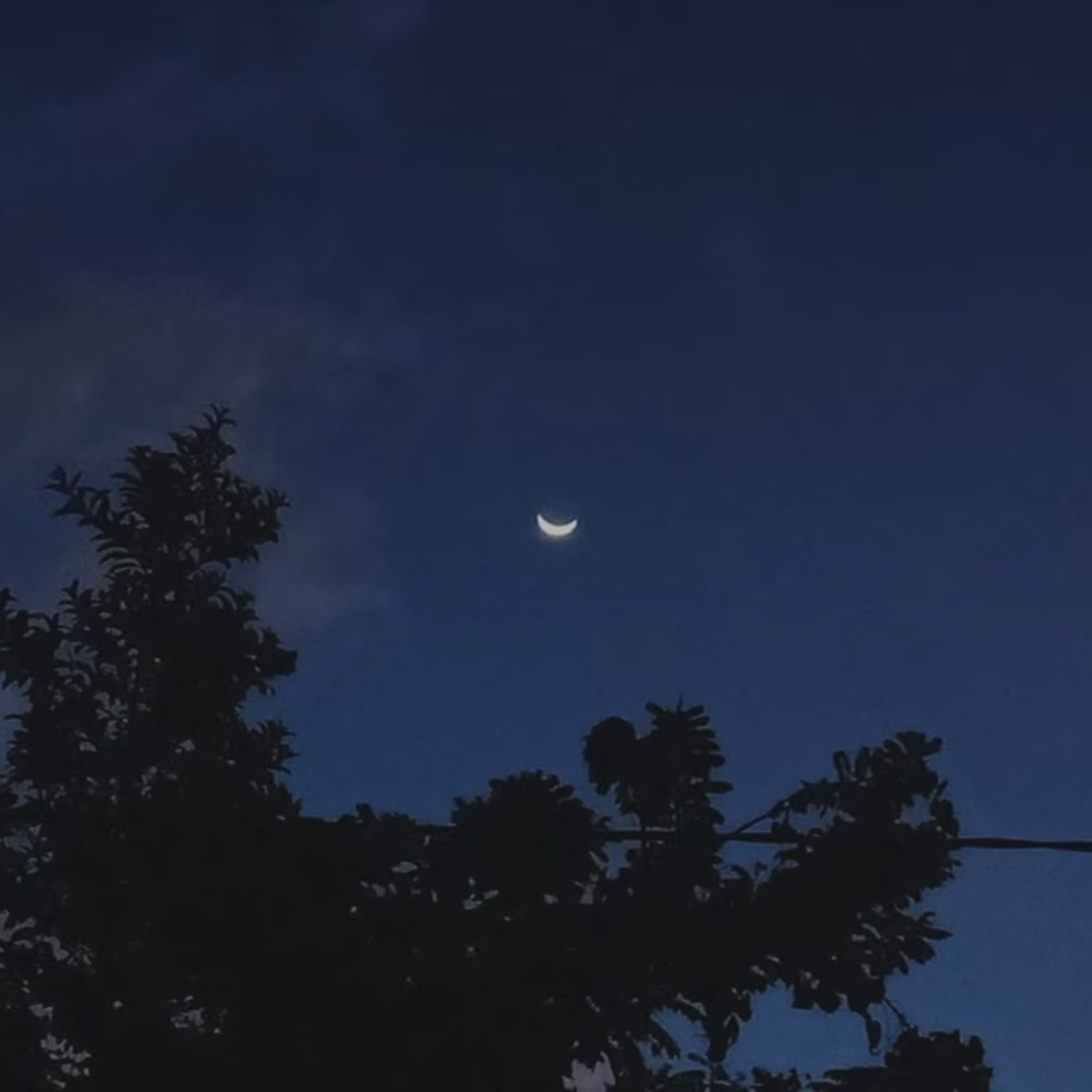 [Free]